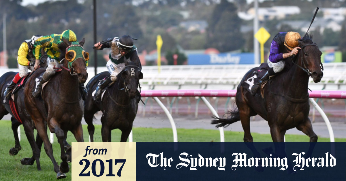 Dornier flies under the Flemington radar to make the St Leger a family